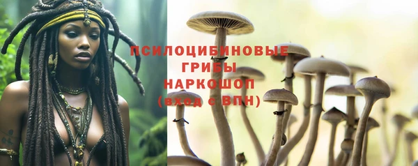 гидра Киренск