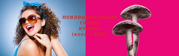 2c-b Киреевск