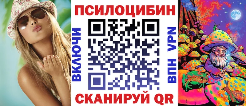Галлюциногенные грибы Psilocybe  Купить закладки  Верхний Тагил 